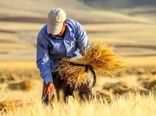 تنها ۵ درصد منابع عمومی کشور در اختیار بخش کشاورزی است/ ظرفیت ترانزیتی ۵۰ میلیون تن غلات 