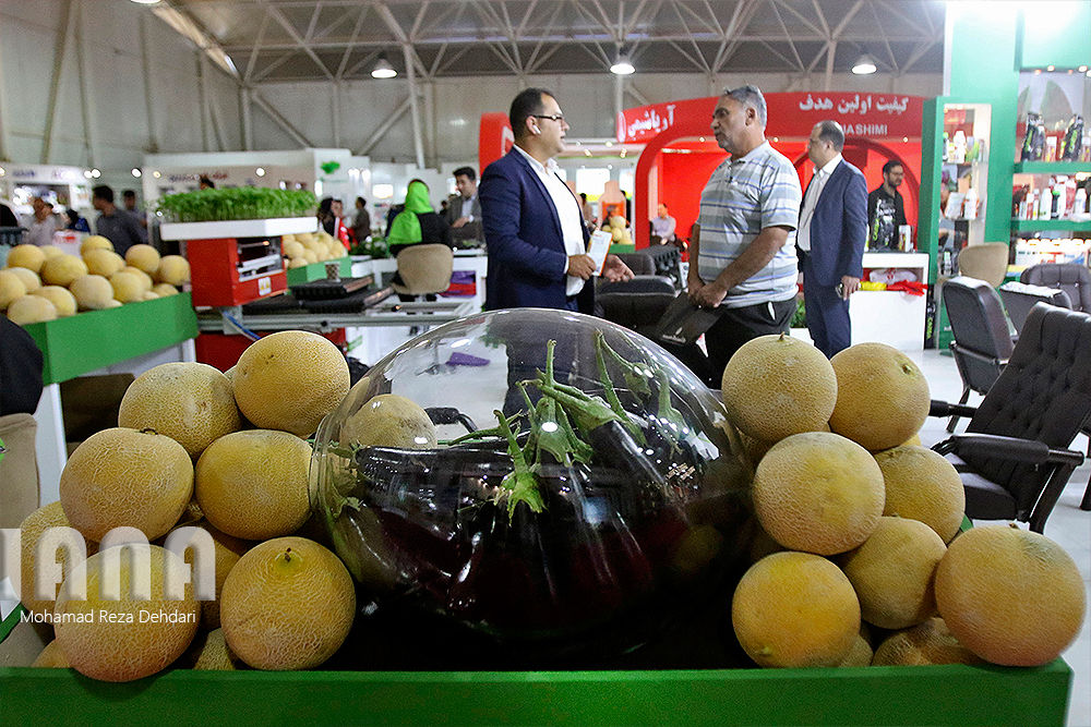 نمایشگاه کشاورزی شیراز
