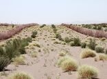 شناسایی بیش از ۱۴ میلیون هکتارکانون بحرانی بیابان درکشور