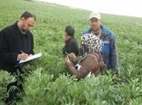 یکسان‌سازی فرایندهای برون‌سپاری خدمات کشاورزی در دستور کار وزارت جهاد کشاورزی