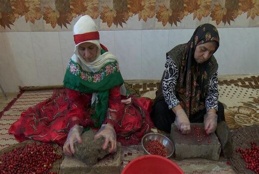 پیام تبریک مشاور امور بانوان رئیس سازمان به مناسبت روز جهانی زن روستایی و عشایری
