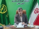 نشاء برنج در ۲۳۳ هزار هکتار از شالیزارهای گیلان انجام شد