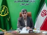 نشاء برنج در ۲۳۳ هزار هکتار از شالیزارهای گیلان انجام شد