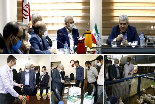 ضرورت شکل‌گیری زیست‌بوم فناوری و نوآوری در حوزه تحقیقات علوم دامی 