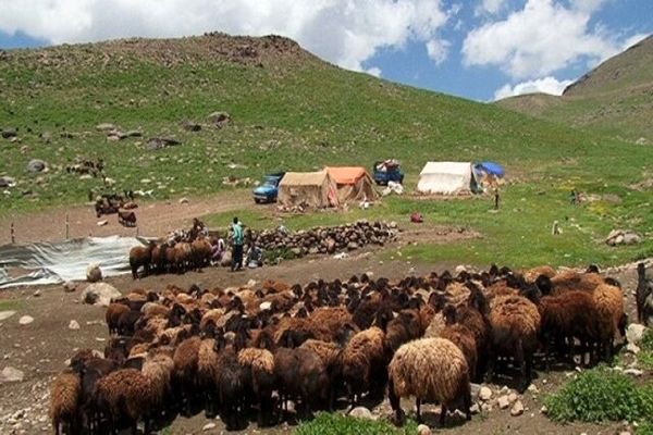 کاهش بارندگی‌ها هزینه تولید عشایر خراسان شمالی را افزایش داد
