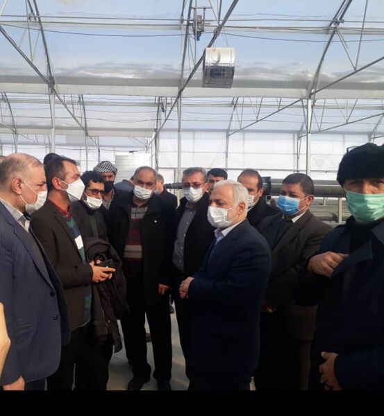 پیش‌بینی تولید 350 تن صیفی‌جات در گلخانه هیدروپونیک شهرستان ارومیه