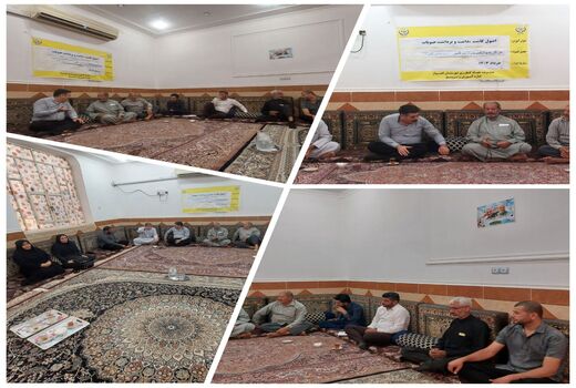 آشنایی با مراحل کاشت تا برداشت حبوبات در اهواز