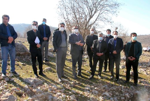 کست بیش از ٧ هزار هکتار گونه های بادام، انجیر، انگور، زرشک، گل محمدی و سنجد در اراضی شیبدار لرستان 