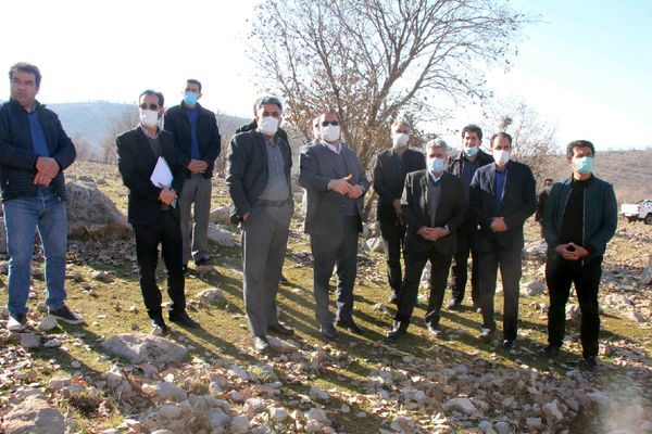 کست بیش از ٧ هزار هکتار گونه های بادام، انجیر، انگور، زرشک، گل محمدی و سنجد در اراضی شیبدار لرستان 