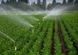 اختصاص ۵۲۲ میلیارد ریال اعتبار برای تجهیز مزارع به سیستم های نوین آبیاری 