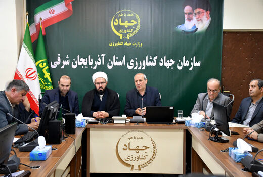 تخصیص ۲.۲ همت تسهیلات خط اعتباری برای مرغداران استان آذربایجان شرقی