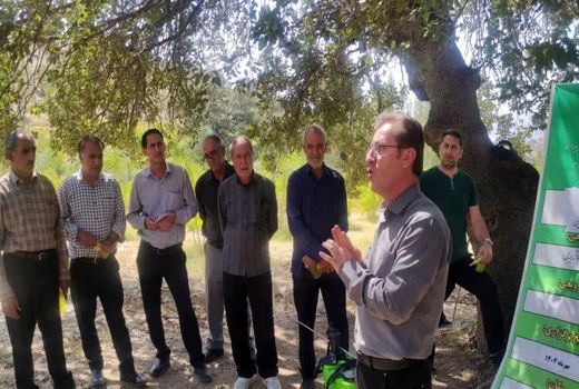 آموزش‌های میدانی و رسانه‌ای برای مهار آفات انار در بویراحمد
