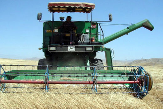 برداشت 25 هزار تن گندم در شهرستان اهر