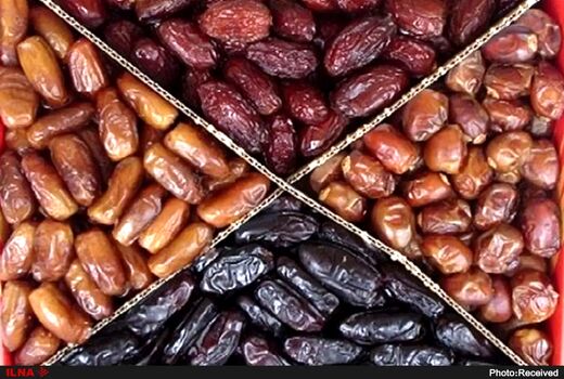 تنوع ژنتیکی خرمای ایران سرمایه صادراتی در بازارهای جهانی است / تولید ۴۰۰ تا ۶۰۰ رقم در کشور