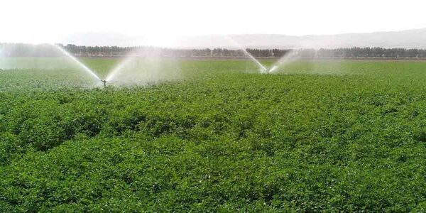 اجرای سامانه‌های نوین آبیاری اصفهان