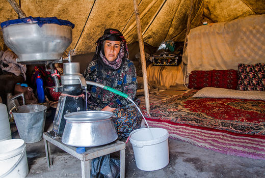 تشکیل صندوق خردزنان عشایری ضروری است