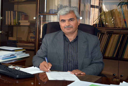 آغاز عملیات بیمه گری محصولات زراعی ویژه طرح جهش تولید در دیمزارها