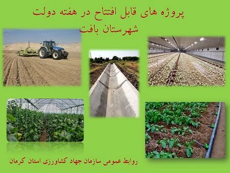 بهره برداری از 10 طرح کشاورزی و دامپروری شهرستان بافت در هفته دولت 