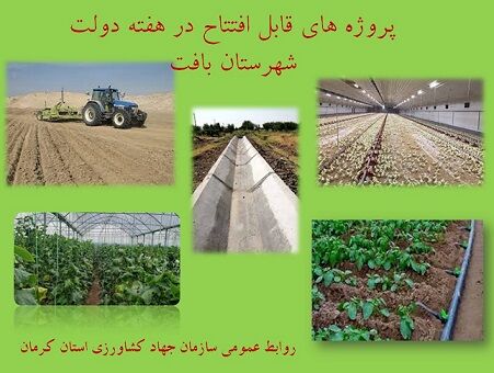 بهره برداری از 10 طرح کشاورزی و دامپروری شهرستان بافت در هفته دولت 