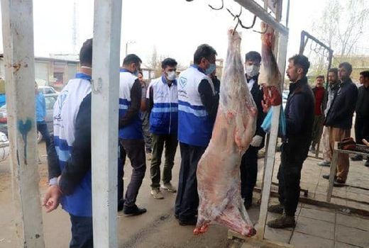 برخورد با عاملان کشتارهای غیرمجاز و کنار جاده‌ای توسط اکیپ‌های بازرسی بهداشتی دامپزشکی در آذربایجان غربی 