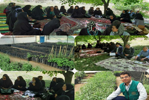 برگزاری کارگاه آموزشی مدیریت مزرعه و تغذیه گیاهی محصول گوجی بری در روستای کردلر شهرستان کلیبر