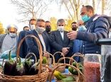 بازدید وزیر جهاد کشاورزی از شرکت کشت و صنعت جوین