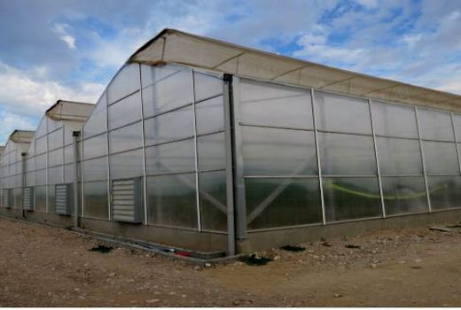 معرفی ۲۵۳ طرح گلخانه خراسان شمالی به بانک‌های عامل