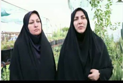 سابقه 30 ساله جشنواره‌های ترویجی کشاورزی در کشور 