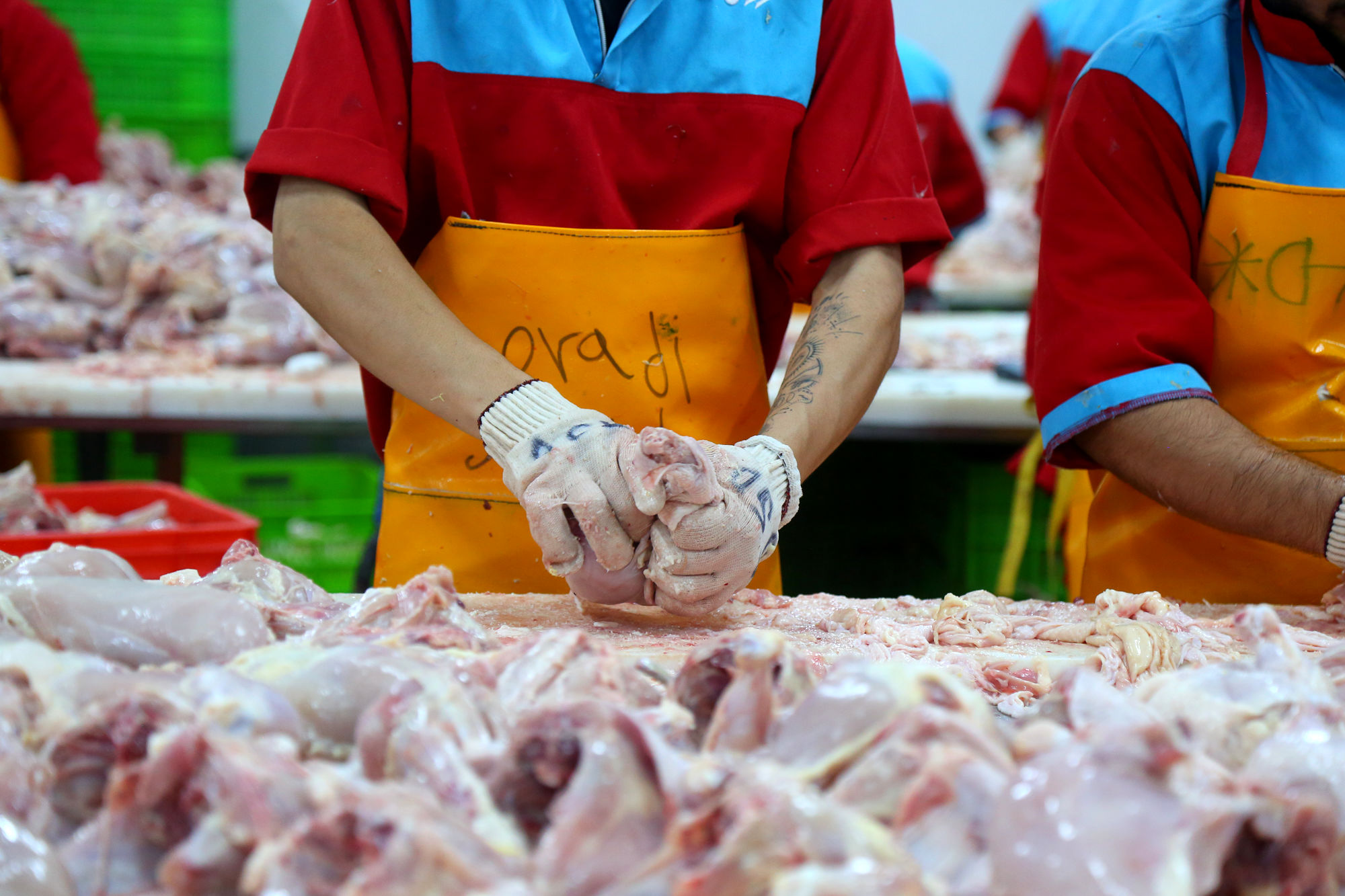 تور رسانه ای به مناسبت هفته دامپزشکی 