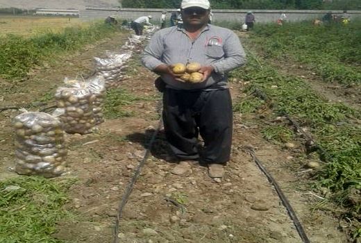 الگوی کشت چند محصولی را در دستور کار قرار دادم