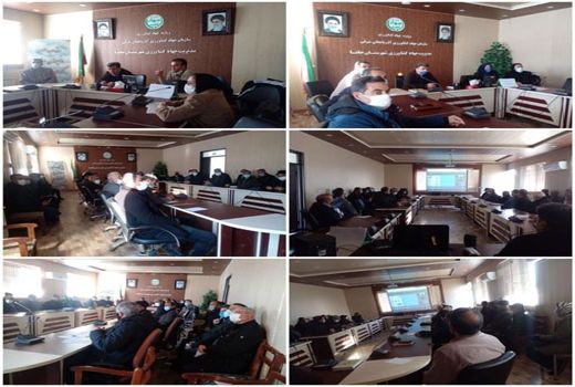 برگزاری دوره آموزشی هرس درختان میوه در جلفا