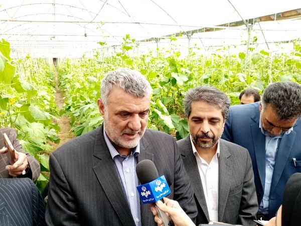 توسعه گلخانه‌ها از اهداف و سیاست‌های وزارت جهاد کشاورزی است