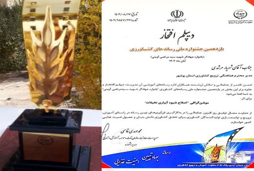 کسب تندیس، دیپلم افتخار وجایزه برتر تولید موشن‌گرافی کشور 