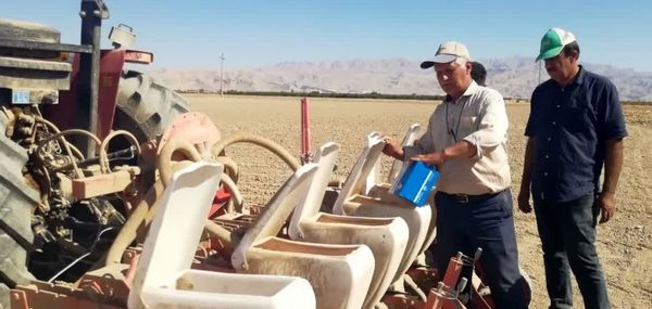 کشت چغندرقند پاییزه در شهرستان فسا ادامه دارد