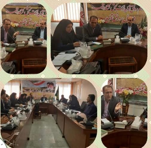 استفاده از ظرفیت‌های بخش خصوصی و دولتی در حمایت از تولید محصول گواهی‌شده