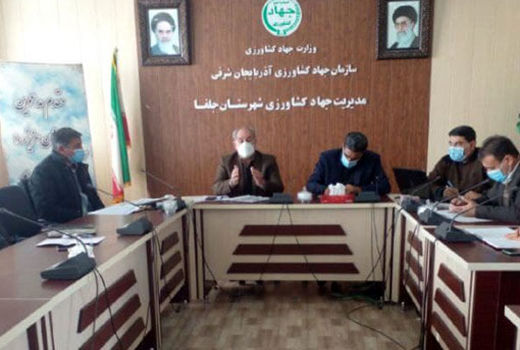 کشت قراردادی گندم مسیری نو برای رونق تولید در استان آذربایجان شرقی 