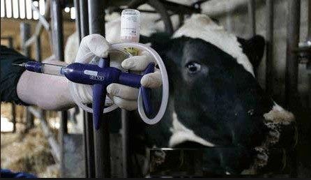 ارائه مجوز بهداشتی واردات دارو الکترونیکی شد