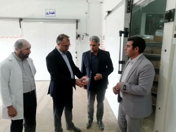 سه طرح صنایع تبدیلی کشاورزی در باروق؛ گامی تازه برای توسعه صنایع تبدیلی و اشتغال