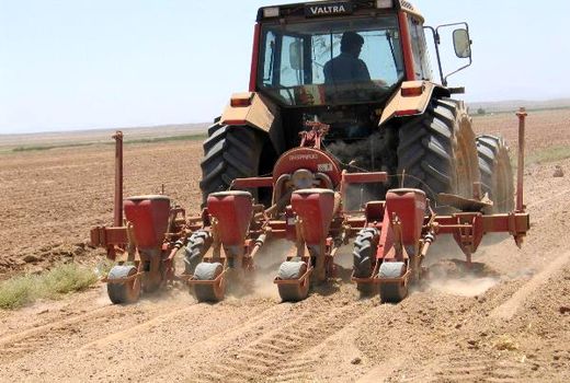 کشاورزی راه‌گشای اقتصاد ایران در شرایط تحریم