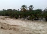 خسارت 17 میلیارد تومانی بارندگی های اخیر به بخش کشاورزی هرمزگان