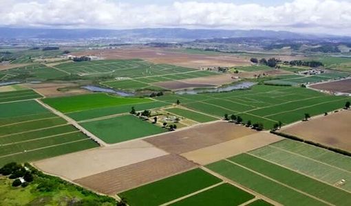 ۹۳ درصد از پلاک‌های مشمول رفع تداخلات در قزوین تعیین تکلیف شد