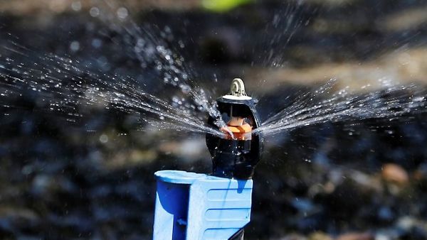 کشاورزان کالیفرنیا به مقابله با خشکسالی می‌روند/ استفاده از علوفه برای صرفه‌جویی آب کشاورزی/ هواپیماهای بدون سرنشین و ناسا در صرفه‌جویی آب