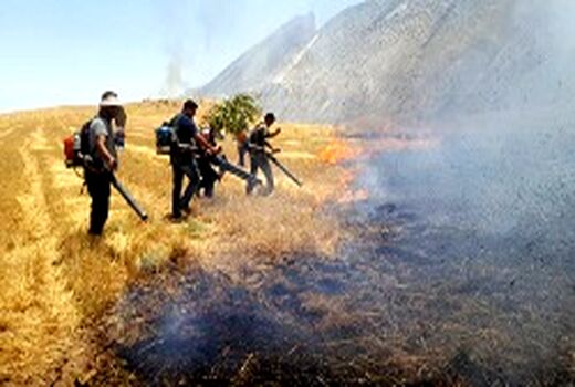 بیش از ۱۰۰ هکتار از پس چرای مزارع کشاورزان روستای شیخ‌مکان طعمه حریق شد