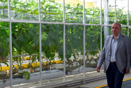 صرفه‌جویی ۳۰ میلیون مترمکعبی آب با توسعه کشت‌های کنترل‌شده