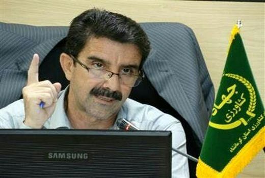 برآورد کشت پاییزه ۵۱۰ هزار هکتاری در کرمانشاه