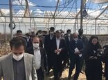 استاندار همدان از پروژه های بخش کشاورزی تویسرکان بازدید کرد 
