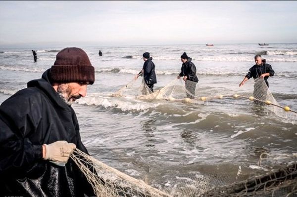 آغاز فعالیت های صید و صیادی از دریاچه های پشت سد بوکان و بارون ماکو در آذربایجان غربی