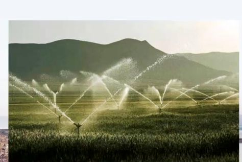 لزوم هم افزایی برای اتمام طرح شبکه های آبیاری و زهکشی غرب و شمالغرب کشور