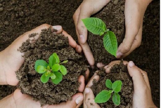 برنامه های گرامیداشت هفته منابع طبیعی در استان البرز تشریح شد