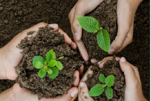 برنامه های گرامیداشت هفته منابع طبیعی در استان البرز تشریح شد